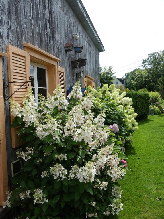 Gite Du Village - Deschambault Luaran gambar